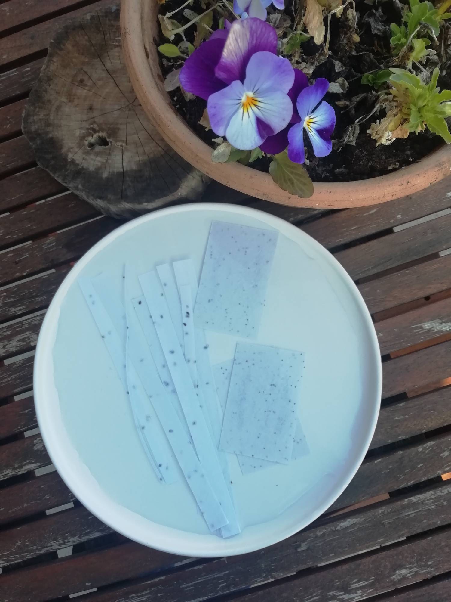 trempez le papier à planter