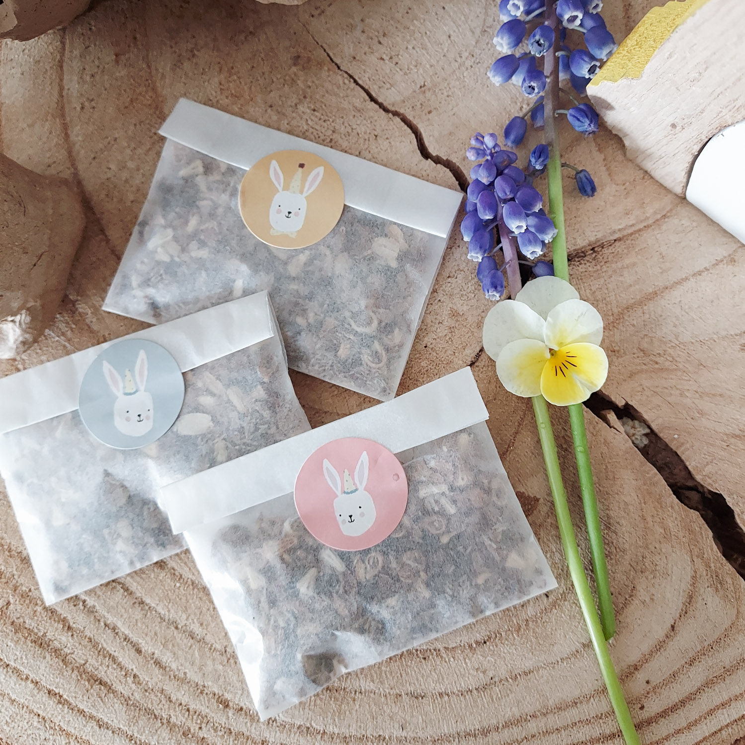 cadeau créateur avril - les semences du puy