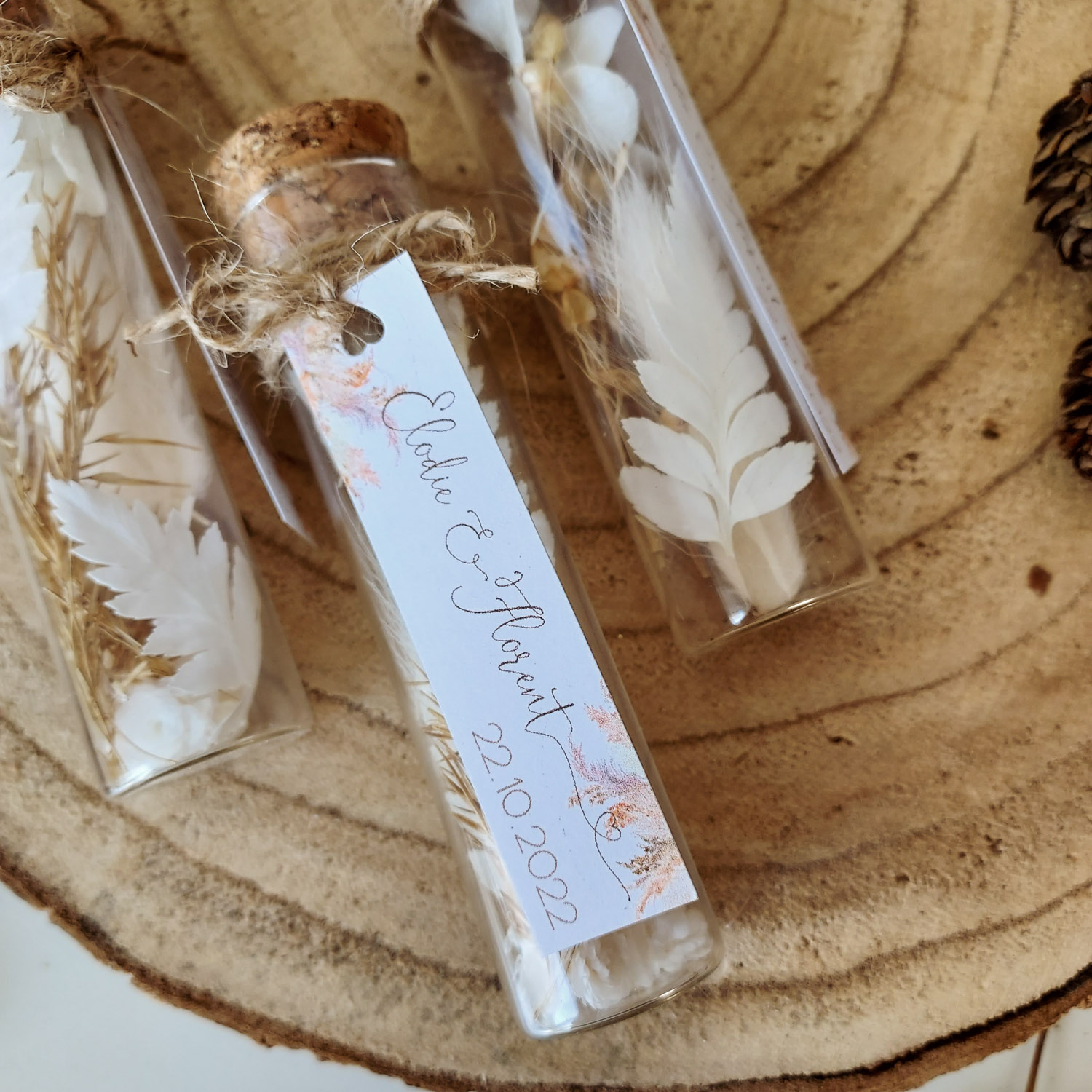 eprouvettes pampas 5 eprouvettes pampas 5