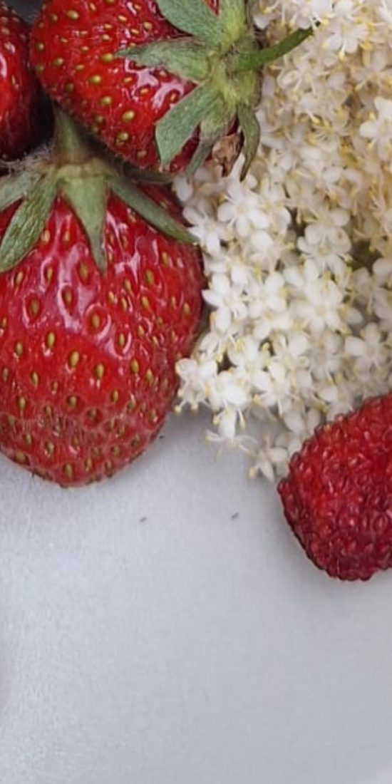 header fraises sureau
