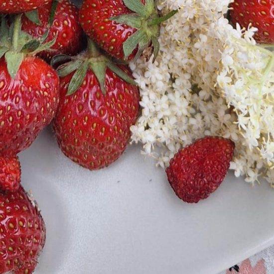 header fraises sureau