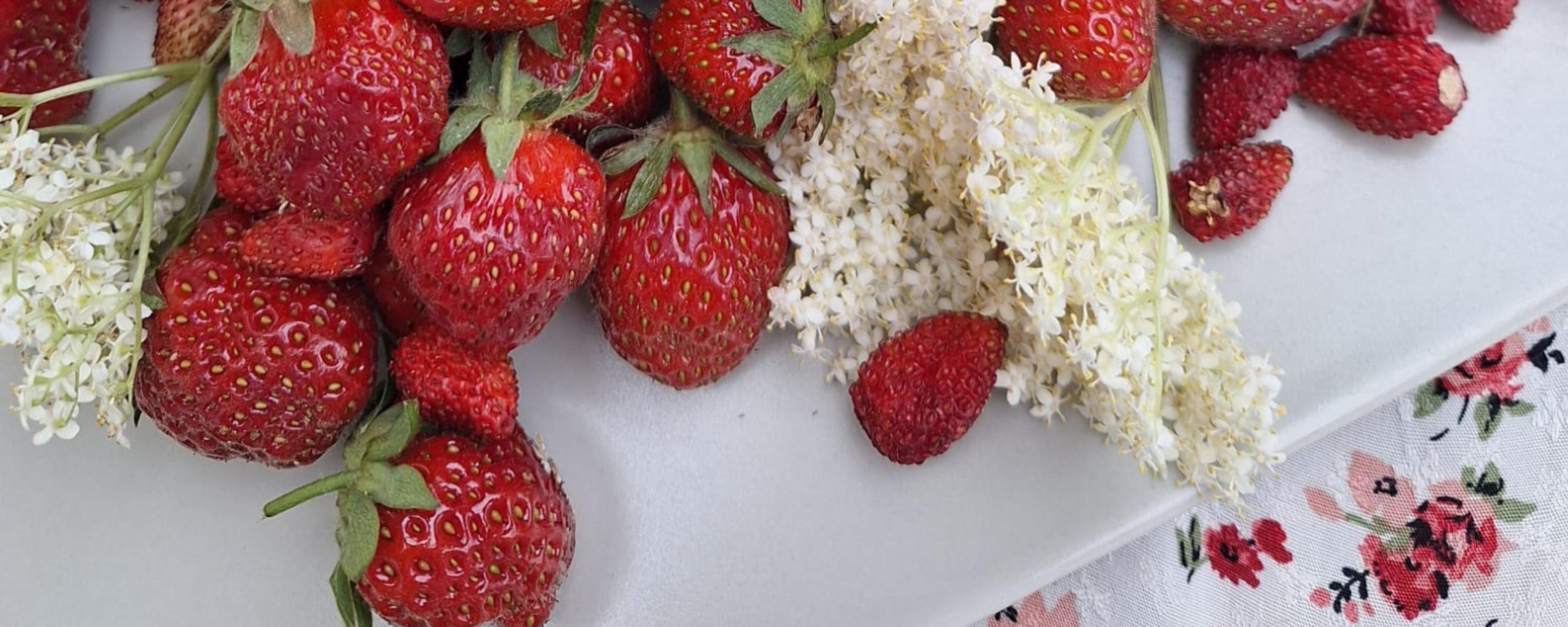 header fraises sureau