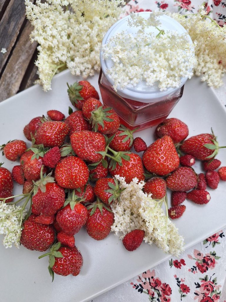 recette fraises sureau