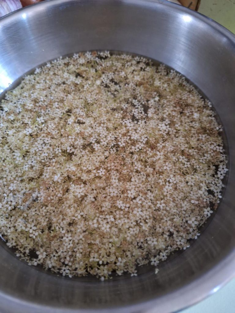 recette gelee sureau 1